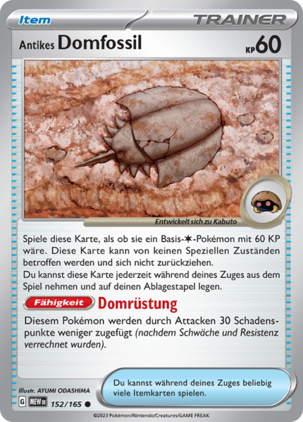 Antikes Domfossil - 152/165 - 151 - Common