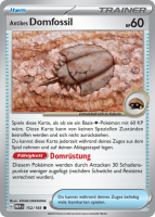 151 - 152/165 - Antikes Domfossil - Common